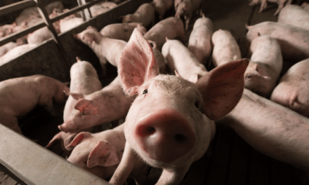 A legal Insight into the impact of factory farming on human health