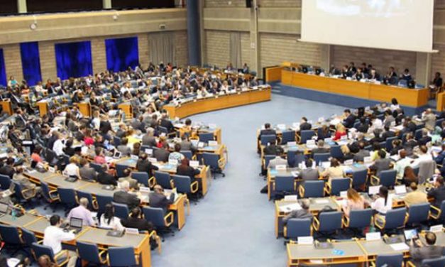 Pioneering and Historic Resolution for Animal Welfare at UNEA